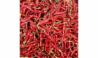 Dry Red Chilli