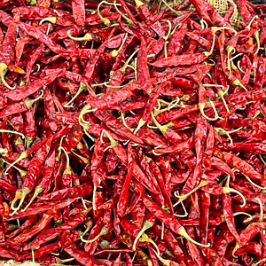 Dry Red Chilli