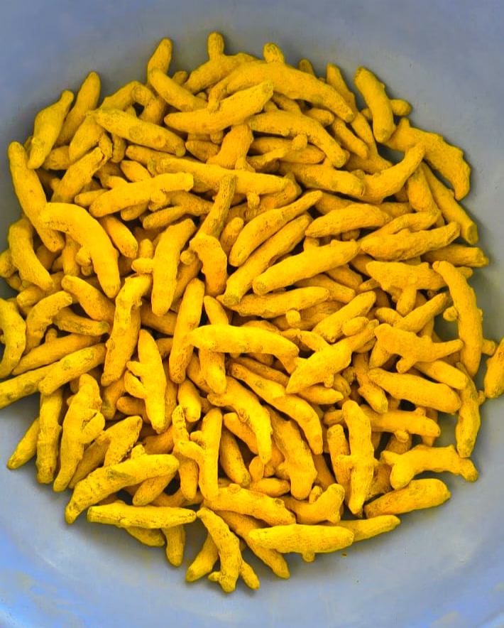 Turmeric image 2