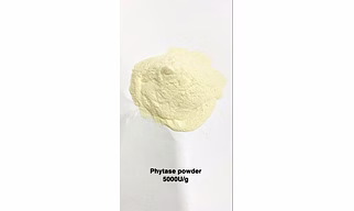 Animal Feed Phytase 5000 U/G Enzymes Powder