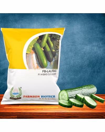 FB-LALITAG F1 HYBRID CUCUMBER SEEDS-12519412