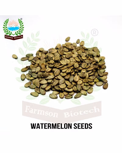 FB-MADHU F1 Hybrid Watermelon Seeds-4