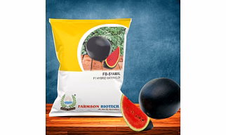 FB-SHYAMAL F1 HYBRID WATERMELON SEEDS