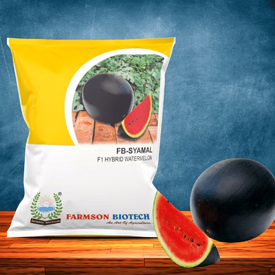 farmson biotech private limited fb-shyamal f1 hybrid watermelon seeds