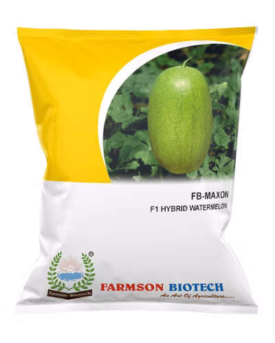 FB-MAXON F1 Hy. Watermelon Seeds-12524328