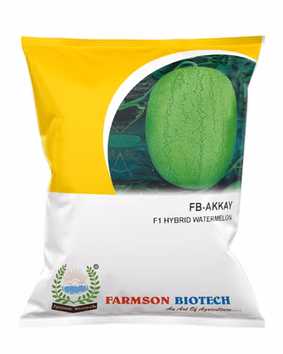 FB-AKKAY F1 Hy Watermelon Seeds-12524334
