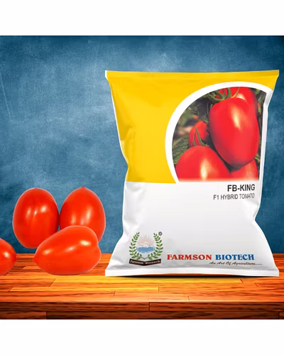 FB-KING F1 HYBRID TOMATO SEEDS-12524346