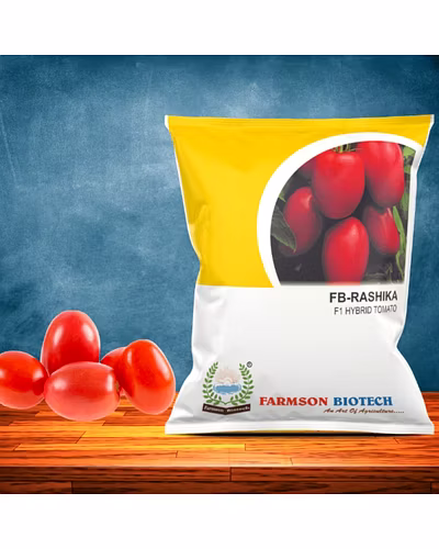 FB- RASHIKA F1Hybrid Tomato Seeds-12524352
