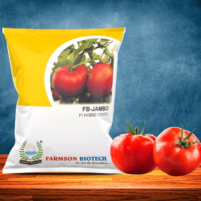 farmson biotech private limited fb-jambo f1 hybrid tomato seeds (big round and red)
