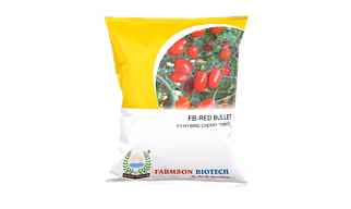 FB-RED BULLET (OVAL) F1 Hybrid Cherry Tomato Seeds