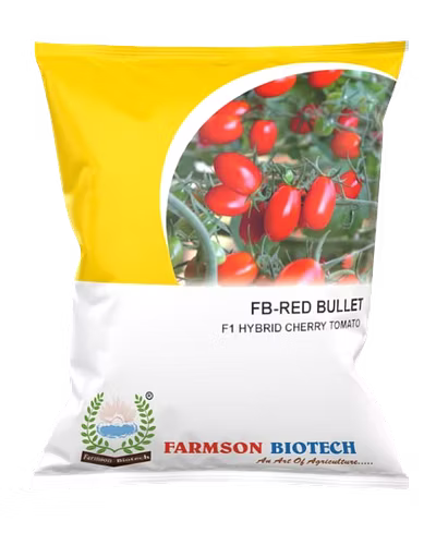 FB-RED BULLET (OVAL) F1 Hybrid Cherry Tomato Seeds-12524366
