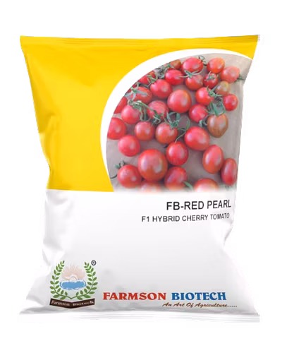 FB-RED PEARL (ROUND) F1 Hybrid Cherry Tomato Seeds-12524360