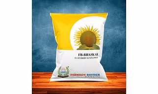 FB-BHASKAR F1 HYBRID SUNFLOWER SEEDS