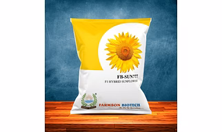 FB-SUN777 F1 HYBRID SUNFLOWER SEEDS