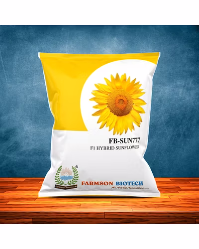 FB-SUN777 F1 HYBRID SUNFLOWER SEEDS-12524384