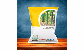 FB-PRABHAS F1 HYBRID SPONGE GOURD SEEDS