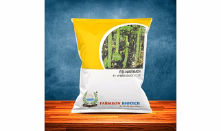 FB-NARMADA F1 HYBRID SNACK GOURD SEEDS