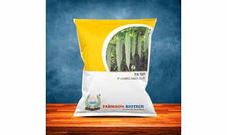 FB-TAPI F1 HYBRID SNACK GOURD SEEDS