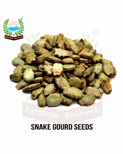 FB-NARMADA F1 HYBRID SNACK GOURD SEEDS-1