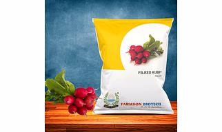 FB-RED RUBBY Red Radish Seeds