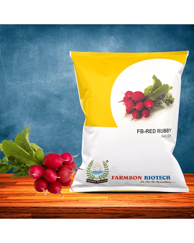 FB-RED RUBBY Red Radish Seeds-12524442