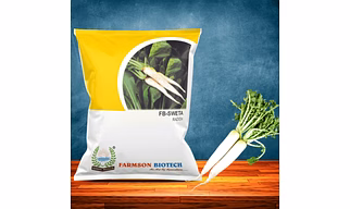 FB-SWETA RADISH SEEDS