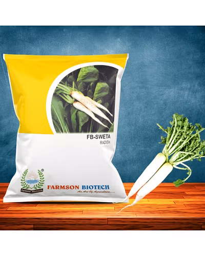 FB-SWETA RADISH SEEDS-12524446
