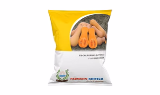 FB-CALIFORNIAN BUTTERNUT F1 Hybrid Squash Seeds