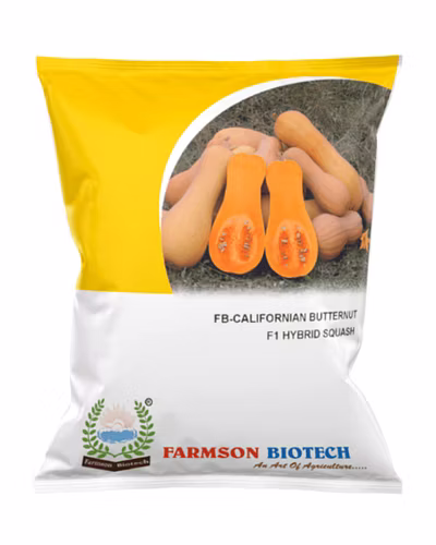FB-CALIFORNIAN BUTTERNUT F1 Hybrid Squash Seeds-12524458