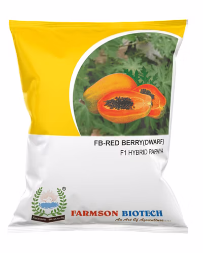 FB-RED BERRY (DWARF) F1 Hybrid PAPAYA SEEDS-12524998