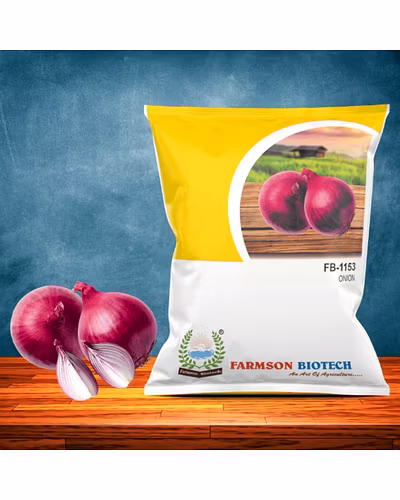 FB-1153 ONION SEEDS (DARK RED, N53)-12526858