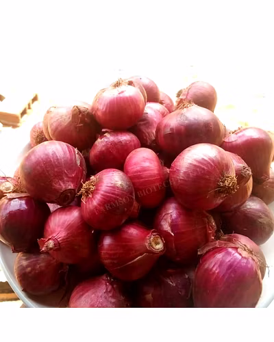 FB-1153 ONION SEEDS (DARK RED, N53)-2