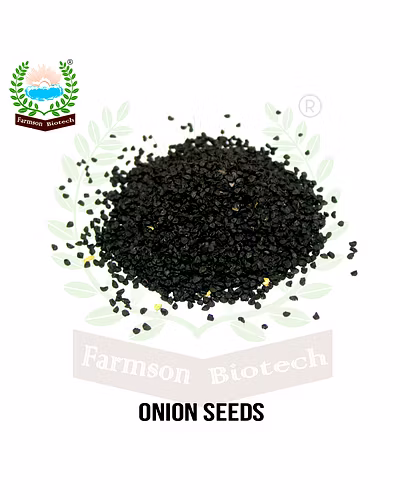 FB-1153 ONION SEEDS (DARK RED, N53)-3
