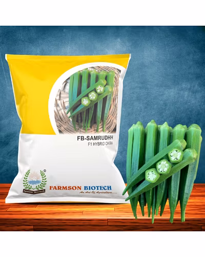 FB-SAMRUDDH F1 HYBRID OKRA SEEDS-12526870