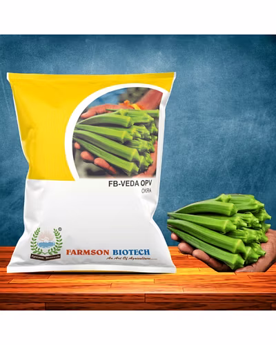 FB-VEDA OPV OKRA SEEDS-12527150