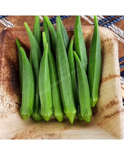 FB-SAMRUDDH F1 HYBRID OKRA SEEDS-2