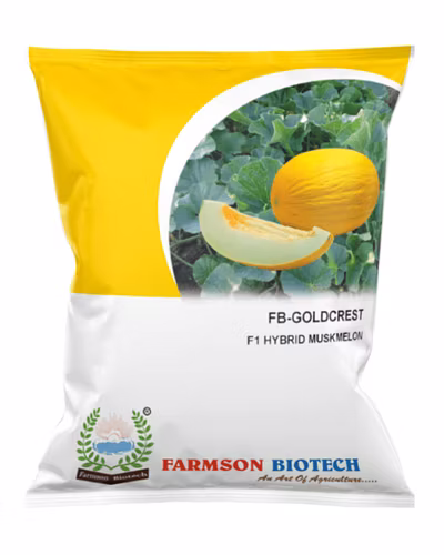 FB-GOLDCREST F1 HY. MUSKMELON SEEDS-12527180