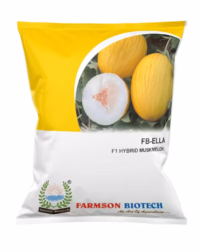 FB-ELLA F1 Hy MUSKMELON SEEDS-12527176