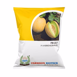 farmson biotech private limited fb- lily f1 hybrid muskmelon seeds