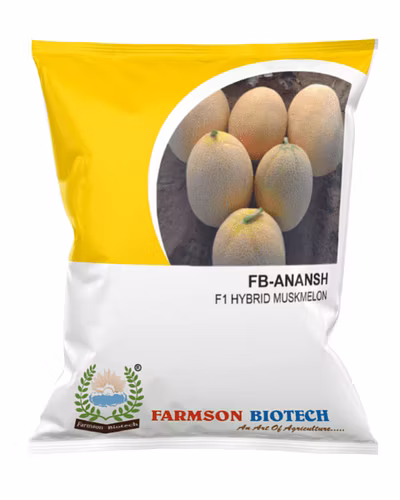 FB- ANANAS F1 Hybrid Muskmelon Seeds-12527170