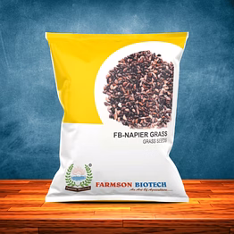 farmson biotech private limited napier grass seeds