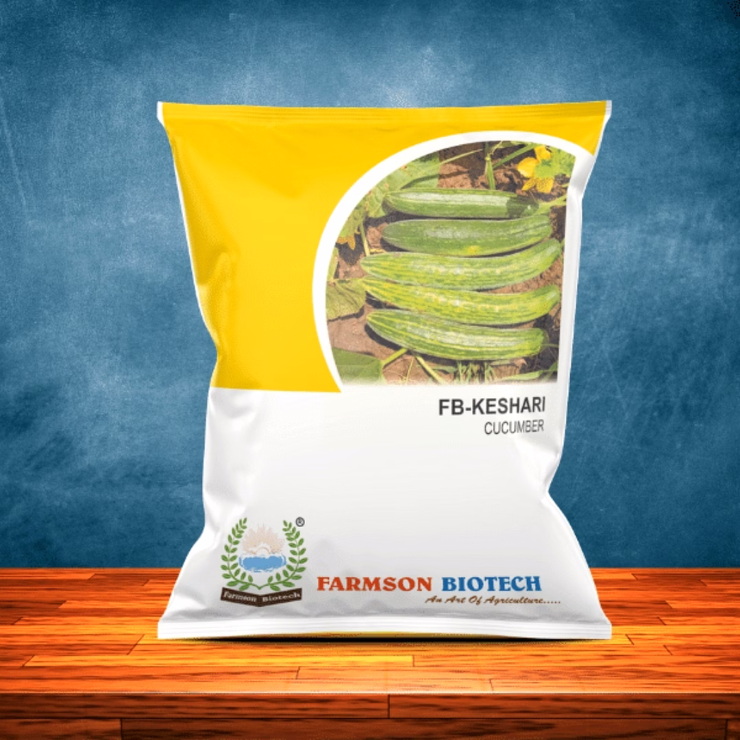 fb-keshari cucumber seeds