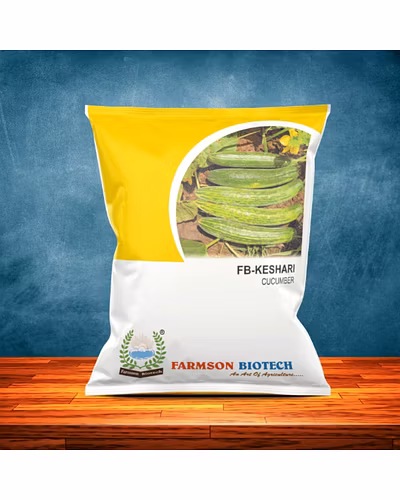 FB-KESHARI CUCUMBER SEEDS-12527212