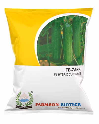 FB-Zanki F1 Hybrid Cucumber Seeds-12527216