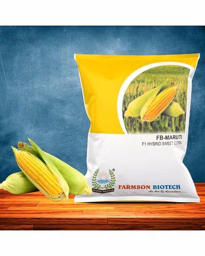 FB-MARUTI F1 HYBRID CORN SEEDS-12527222