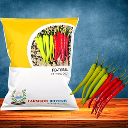 farmson biotech private limited fb-toral f1 hybrid chili seeds (dual purpose)