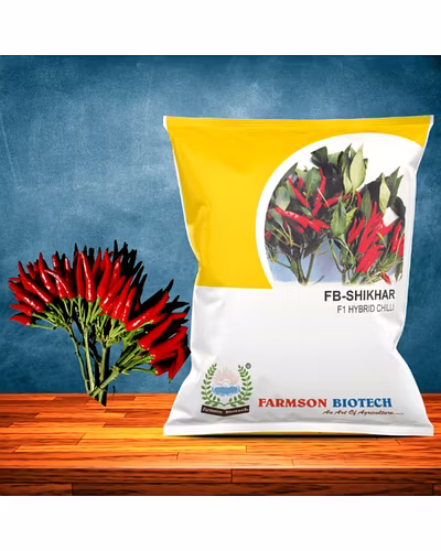 FB-SHIKHAR F1 HYBRID CHILI SEEDS (UPRIGHT)-12527240
