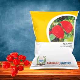 farmson biotech private limited fb-2121 red habanero chilli seeds (very hot)