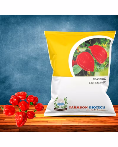 FB-2121 RED HABANERO CHILLI SEEDS (VERY HOT)-12527260