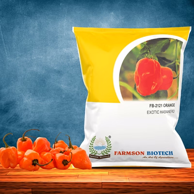 farmson biotech private limited fb-2122 orange habanero chilli seeds (very hot)